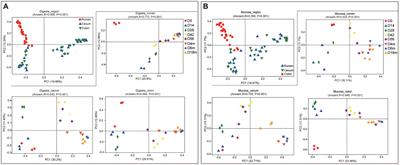 Exploring the digesta- and mucosa-associated microbial community dynamics in the rumen and hindgut of goats from birth to adult
